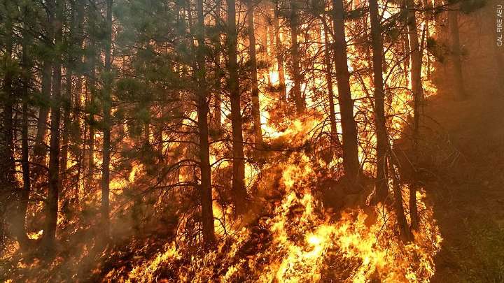 Grand Canyon north rim evacuated as wildfire spreads