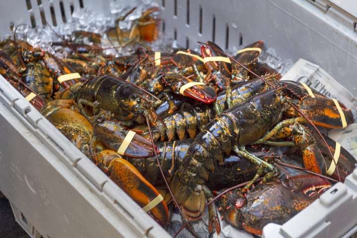 Glooscap First Nation in Nova Scotia to launch seafood market this year