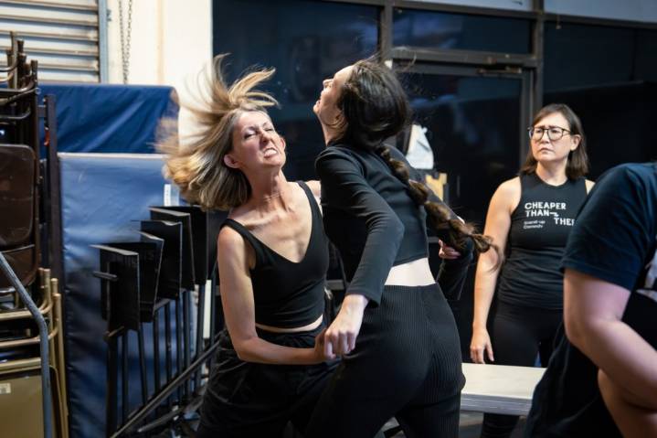 Silicon Valley Shakespeare brings ‘Richard III’ and ‘Emma’ to Saratoga