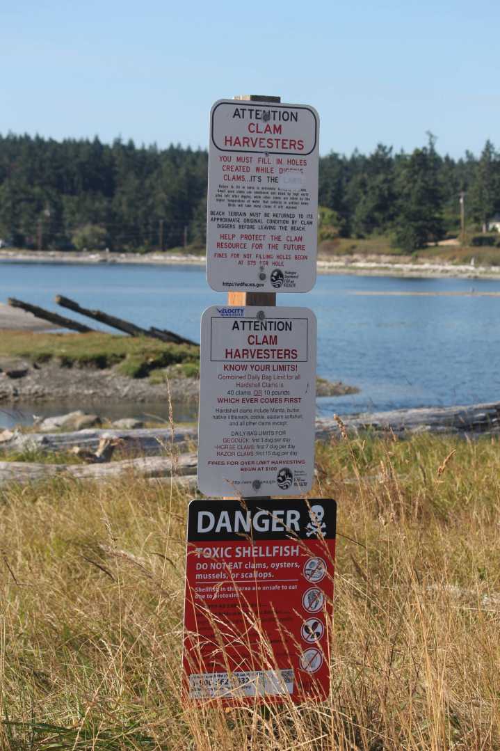 Penn Cove, Holmes Harbor closed to shellfish harvesting