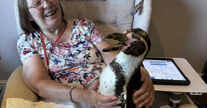 Penguins and monkeys bring joy to Bristol care home residents
