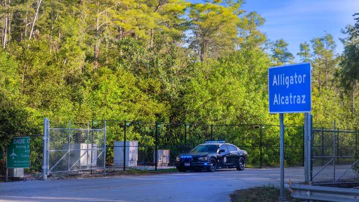 Detainees held without charges in Florida's ‘Alligator Alcatraz,' attorneys say