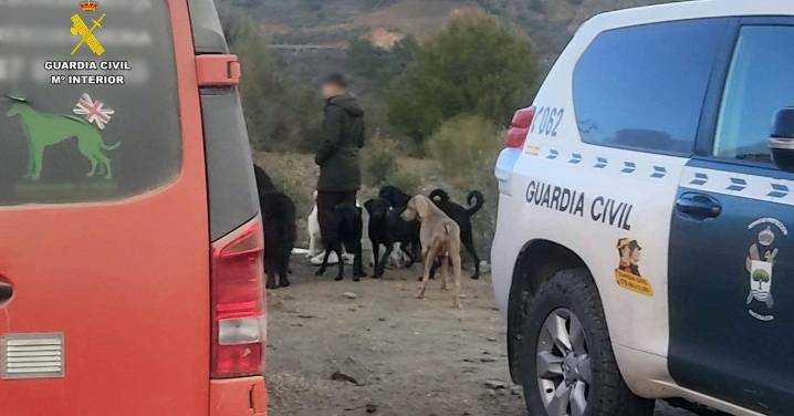 La Guardia Civil investiga a dos personas en Almería por abandonar un criadero ilegal de perros