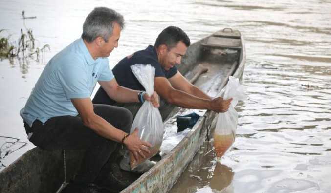 Repueblan el río Magdalena con más de 300.000 peces