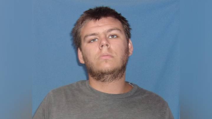 Arkansas man pleads guilty to murdering a 3