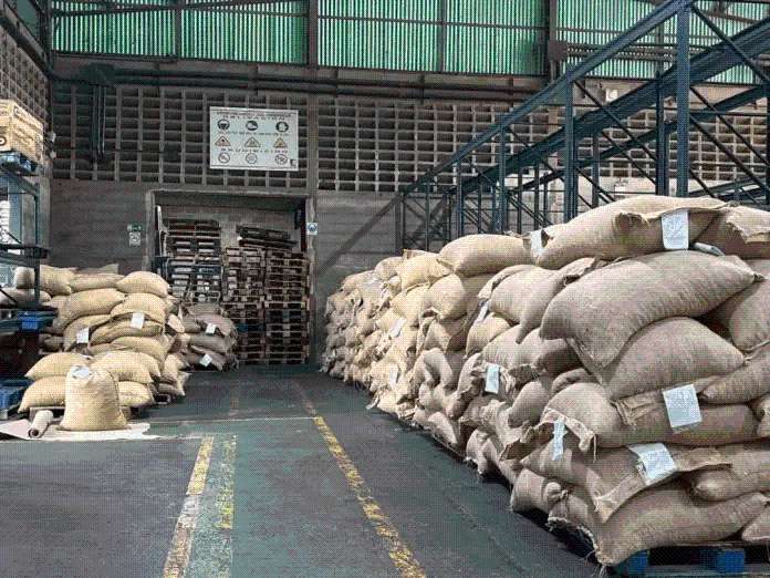 Exportan cacao venezolano hacia la Federación de Rusia