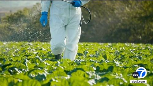 ﻿Landmark study links agricultural pesticides to brain damage, but federal push to restrict their use stalls