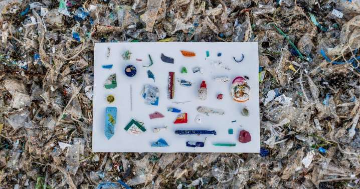 La industria cosmética mexicana acelera su transición hacia la economía circular