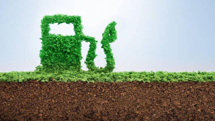 Gobierno actualizó los precios de los biocombustibles para el mercado interno