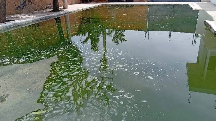 Denuncian foco de infección por fuga de aguas negras en El Saucito