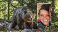 Una mujer sobrevive tras ser atacada por un oso y ser arrastrada 90 metros por el animal