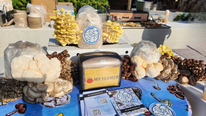 Keep calm and farm on: Farm Fresh celebrates RI's growers and producers