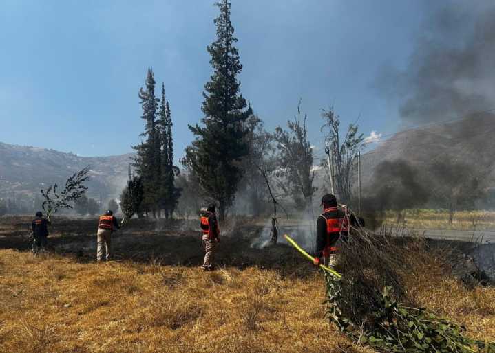 Incendios forestales aumentan en Áncash en las últimas semanas, pero cifra es menor a 2024