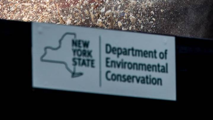 DEC, NYSDOH investigate 'significant fish and wildlife die-off' in Cattaraugus County creek
