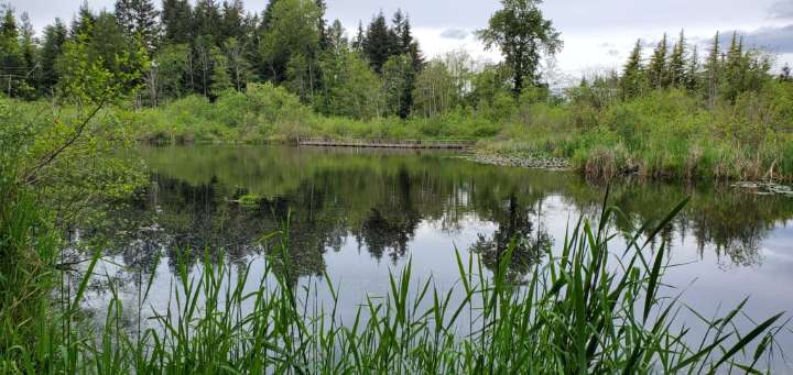 In Days Gone By: Scriber Lake and The Wilcox Family’s Legacy. Part 1 (1910