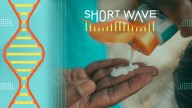 Why FDA sunscreen regulations lag behind UV radiation science : Short Wave : NPR