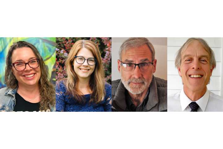 4 move ahead in Duluth School Board at large race
