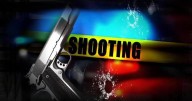 Lewes shooting under investigation