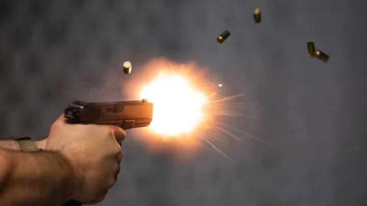 How many firearms are stolen annually in Louisiana? Common stolen guns