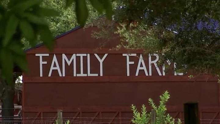Family Farms owner hopes to get his animals back as he faces cruelty charges
