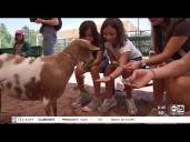 Arizona Camp offers week of hope and healing for kids with cancer and siblings