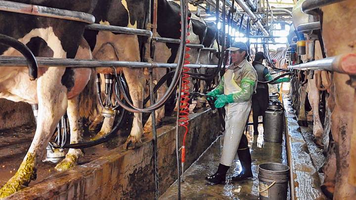 La provincia de Santa Fe perdió 125 tambos en un año: crece la preocupación en el sector