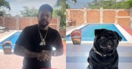 Pepe Aguilar se burla de Emiliano Aguilar con su perro en Instagram