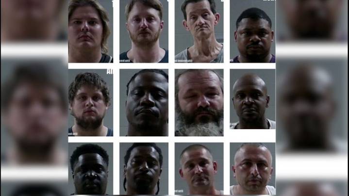 Livingston deputies: 15 different people arrested for indecent behavior with juveniles