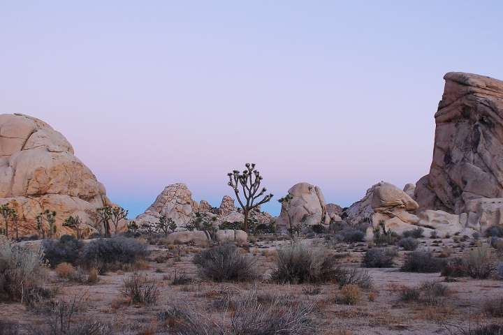 National parks generate big bucks. Why is Trump gutting them?