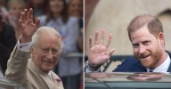Prince Harry and King Charles' 'Reconciliation in Reach' Amid Royal Family Feud: Source