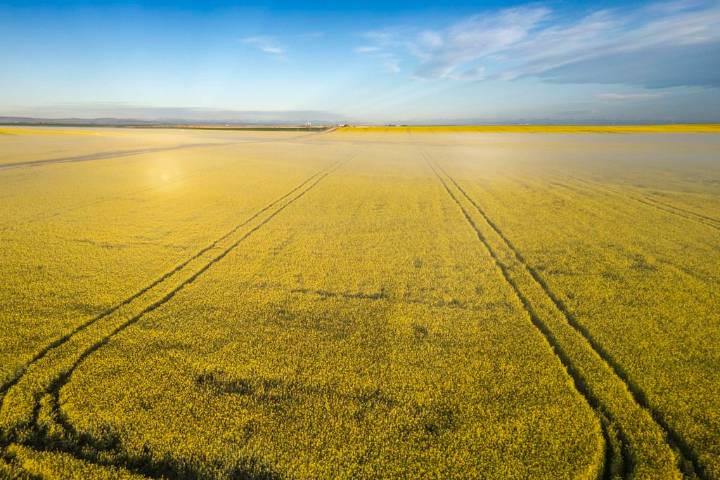 CHARLEBOIS: Why are we trading our breadbasket for a battery pack?
