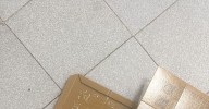 CSIF advierte de "ratas" en el Laboratorio del Regional de Málaga y el hospital aclara que ya ha actuado