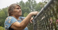 Solar project by IKEA parent impacts native SC history