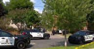Man suspected of touching children at Mpls. park fired officer's holstered gun during arrest, charges say