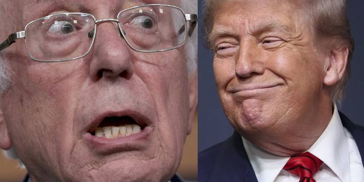 Bernie Sanders is outraged that Trump ended $7 billion solar 'boondoggle' he passed under Biden