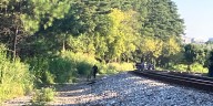Man found dead after being hit by train in northeast Atlanta, police say