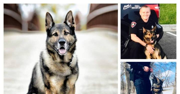 Winnebago County K9 passes away, served 10 years