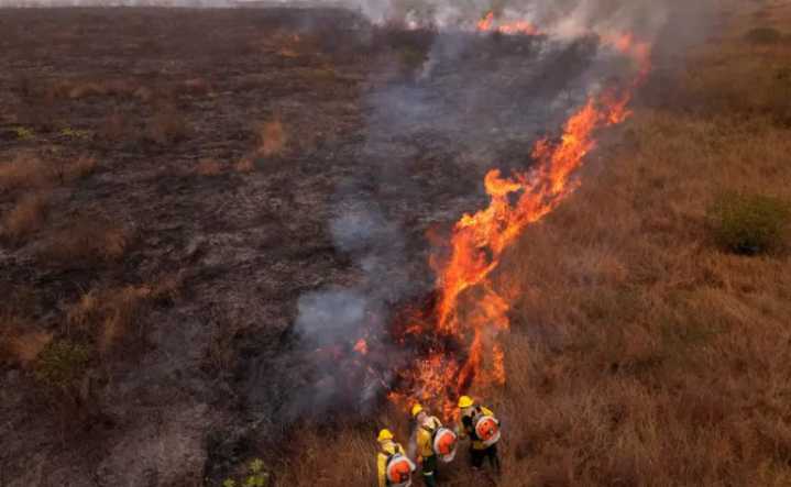 Incendios en Amazonía brasileña registran una caída del 65% en julio