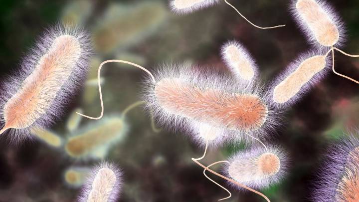 Harlem legionnaires' disease outbreak death toll climbs to 3; 67 ill