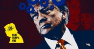 Trump Is Plotting This Desperate Move to Distract From Epstein: Wolff
