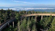 Kuwohi Road in Great Smoky Mountains to close for half…