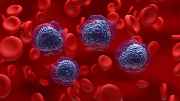 FDA Restricts Gene Therapy Skysona Due to Blood Cancer Risk