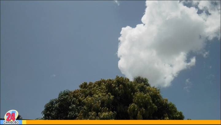 Altas temperaturas en agosto en Venezuela, toma en cuenta estas recomendaciones