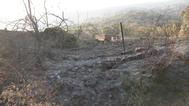 Reacciones a las medidas de la Junta tras los incendios: el campo las ve insuficientes, el turismo pide un plan de promoción