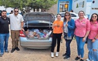 Esterilizan más de 600 perros y gatos