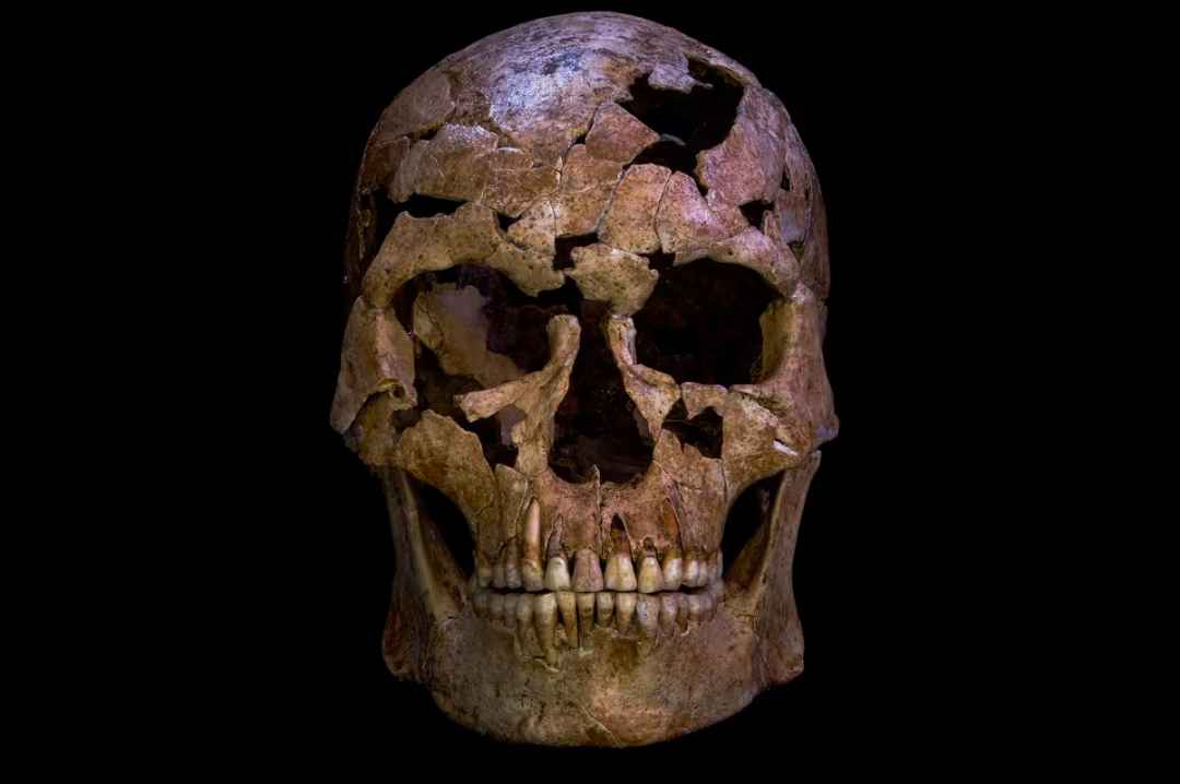 Who mortally wounded this man with a quartz projectile 12,000 years ago? Nobody knows.
