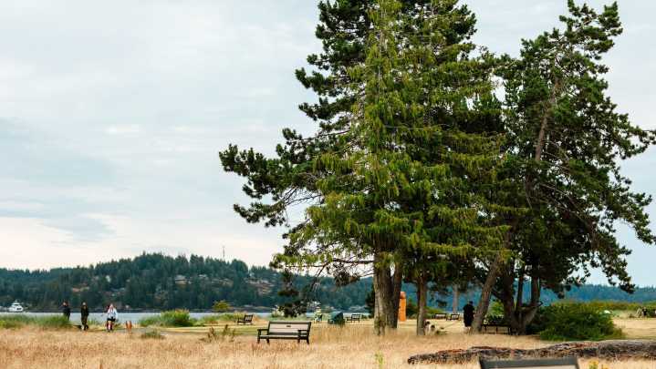 Campbell River asks locals to voice their top city priorities this fall