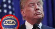 ¿Donald Trump ordenará bombardear México? Esto dijo Terry Cole, director de la DEA
