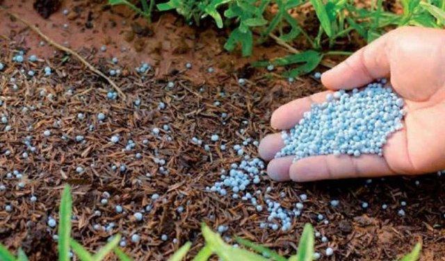 Rusia incrementó exportaciones de fertilizantes a la India