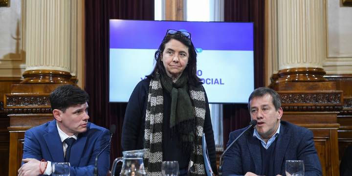 Polémica por los dichos de una senadora: “No creo que los niños argentinos tengan derecho a venir al Garraham a ser curados”